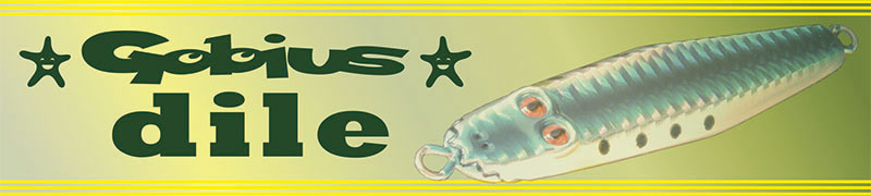 dile-pagebanner.jpg