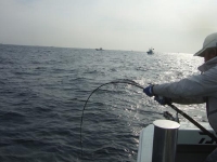 20110223093140.jpg